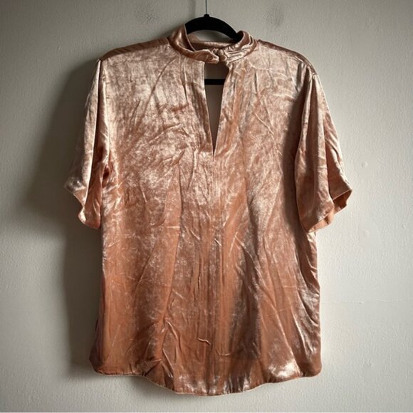 ALC Sz 6 NWT Blaise Dusty Pink Velvet Chocker Relaxed Party Blouse - Picture 10 of 12